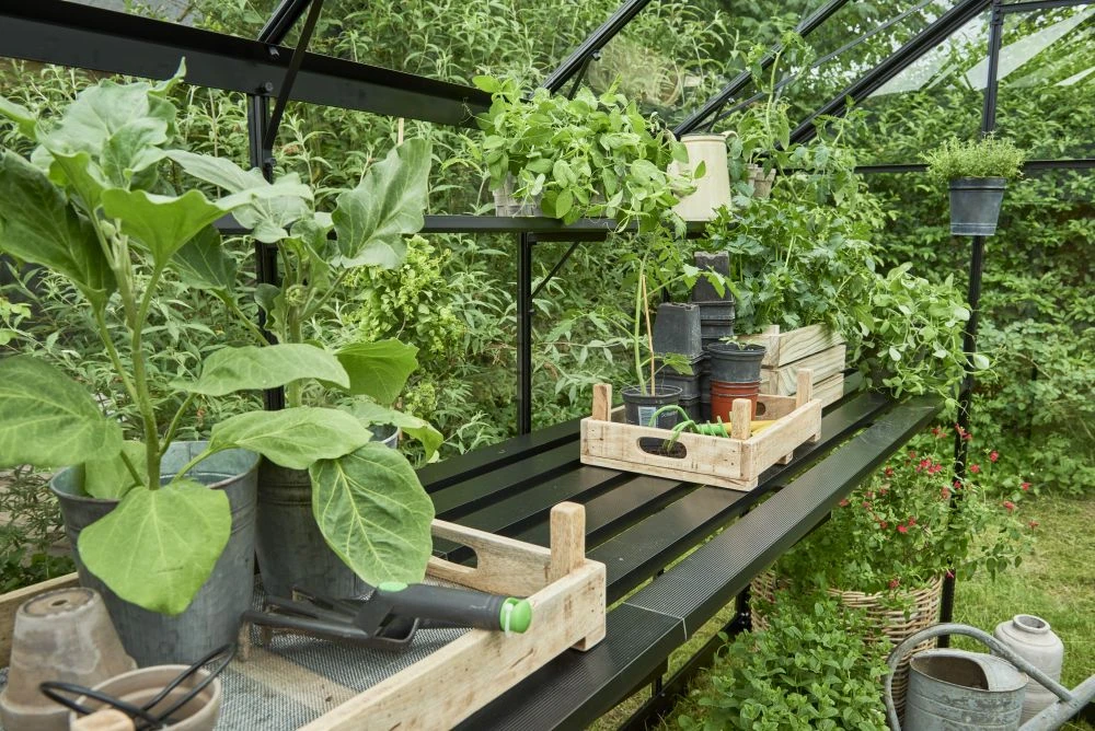 Royal Well Tafel Grand Oase 18,8 Geïntegreerd Zwart Gecoat - Afbeelding 3